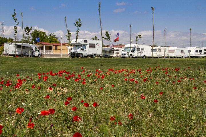 Camping De Olite Exteriör bild